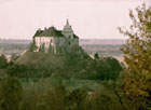 Замок в Олесько