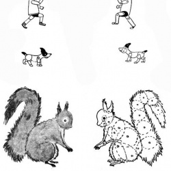 Казка про білку-хазяєчку та мишку-лиходієчку