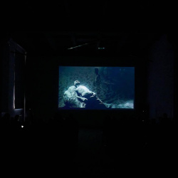 photo_2025-10-31_16-14-03