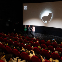 Зображення WhatsApp, дата_ 2025-11-25 о 12.14.19_c99df690